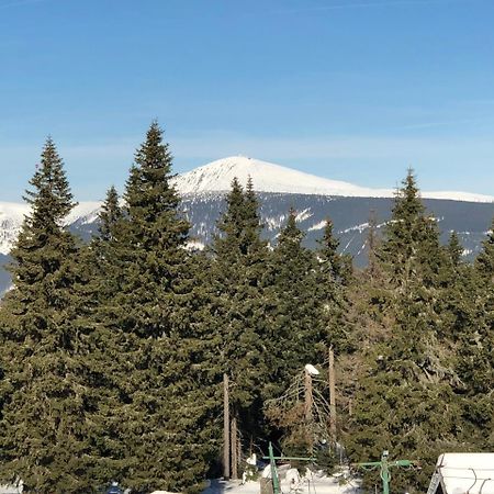 Apartmán Jestřáb 5 Janské Lázně Esterno foto