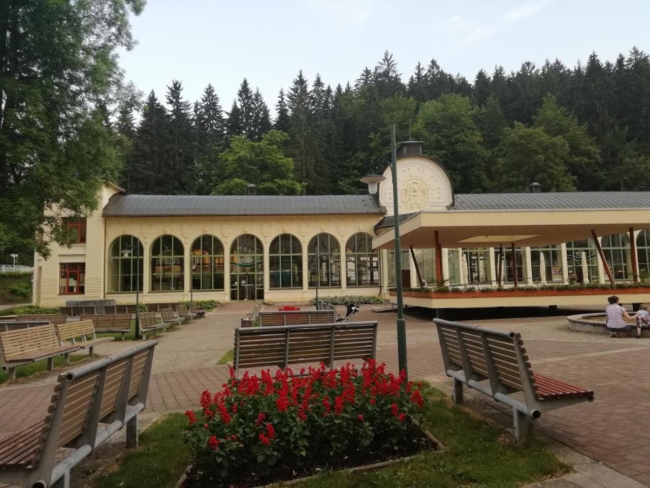 Apartmán Jestřáb 5 Janské Lázně Esterno foto